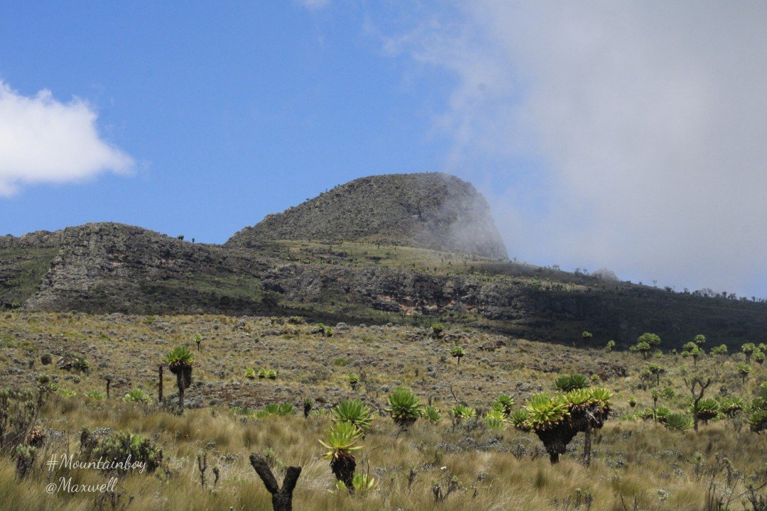 KARIIKU Tour Highlight